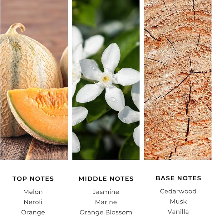 Brilliant Scents Atlantis Escape Fragrance Oil 120ml - Premium Diffuser Oil for Home, Office, Hotels - Long Lasting, Plant-Based, Meets IFRA Standards, USA-Made - Neroli, Orange Blossom, Vanilla