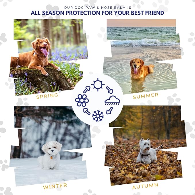 Rhoose Point Remedies Dog Paw Balm - Softens, Heals, Soothes & Protects Dogs Paws, Noses & Skin. All Natural, Organic Ingredients. Lick-Safe Protection for Dogs with Beeswax (5 fl.oz - Large Tin)