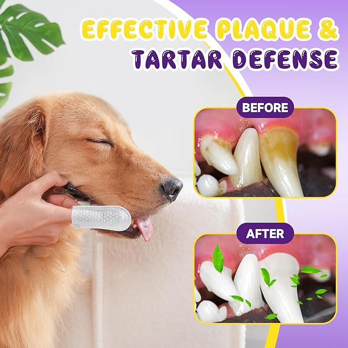 Dog Teeth Cleaning Wipes for Bad Breath – 50 Pcs,Dental Wipes for Dogs & Cats to Remove Plaque, Tartar & Freshen Breath,No-Rinse Toothpaste Alternative,Gentle Gum Care for Puppy, Adult & Senior Pets