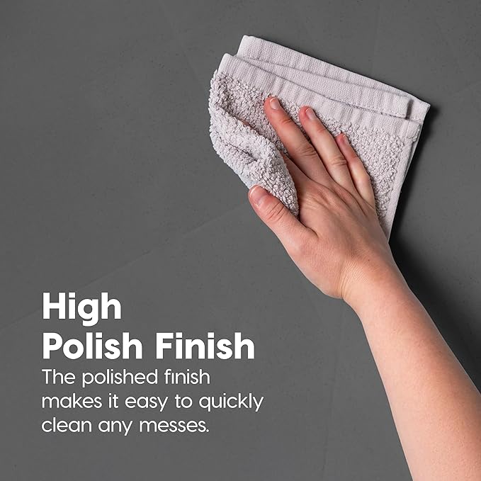 IRIS USA Pee Pad Holder - For Regular Sized Dog and Puppy Pee Pads, Secured Latches, Non-Skid Feet, High Polish Finish for Easy Cleaning, Leak Protection, Fits 22"x22" Pad or Larger, Square, Dark Gray