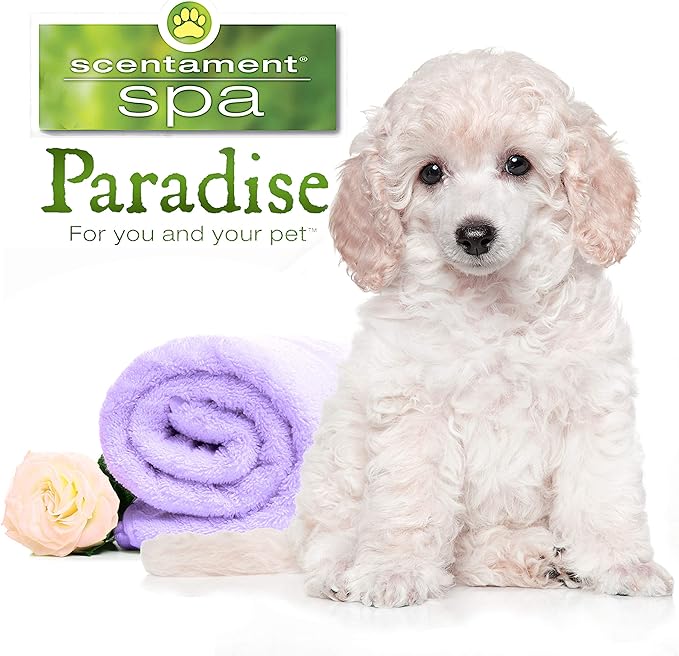 Best Shot Scentament Spa Calming Conditioner, Skin Care Product for a Dog and Cat, Hypoallergenic Puppy Supplies, Lavender Aloe, 16 Ounces