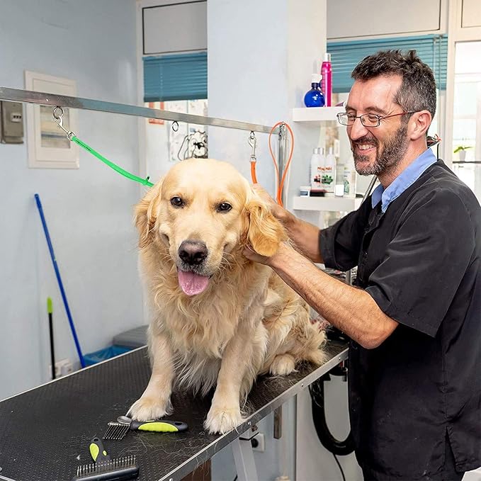 Jelly Pet Grooming Loop for Dogs, Fits Most Pet Grooming Tubs/Tables, Easy to Clean, Waterproof & Durable Noose Loop, Stronger Than Leather, Made in The USA (1/2'' x 24'', Lime Green)