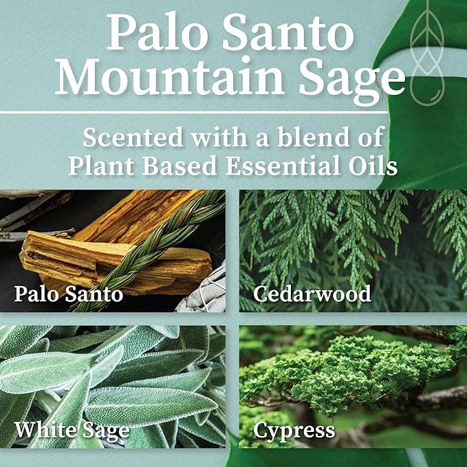 Hemlock Park Crackling Wood Wick Candle Handcrafted with Natural Coconut Wax (Standard 8 oz, Palo Santo Mountain Sage)