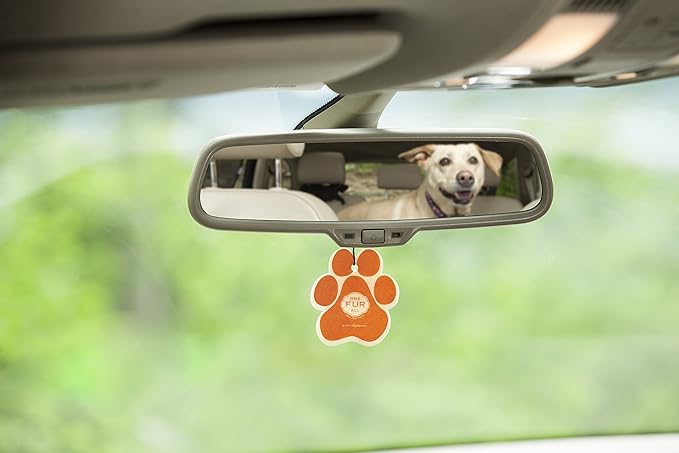 One Fur All Pet-Friendly Car Air Freshener - Pina Colada Pack of 4 - Non-Toxic, Long-Lasting Odor Eliminating Air Freshener for Small Spaces & Cars