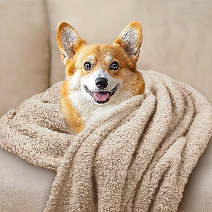 1 Pack 3 Calming Blankets Fluffy Premium Fleece Pet Blanket Soft Sherpa Throw for Dog Puppy Cat Beige Large (41" x31'')