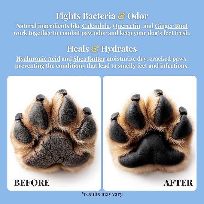 Dr. Paws Dog Paw Protector Balm Perfection Cream - Mess Free, Hydrating, Moisturizing, Non-Greasy, Lick Safe Dog Paw Balm - Premium Animal Foot Moisturizer for Soft, Healthy Paws - 50ml