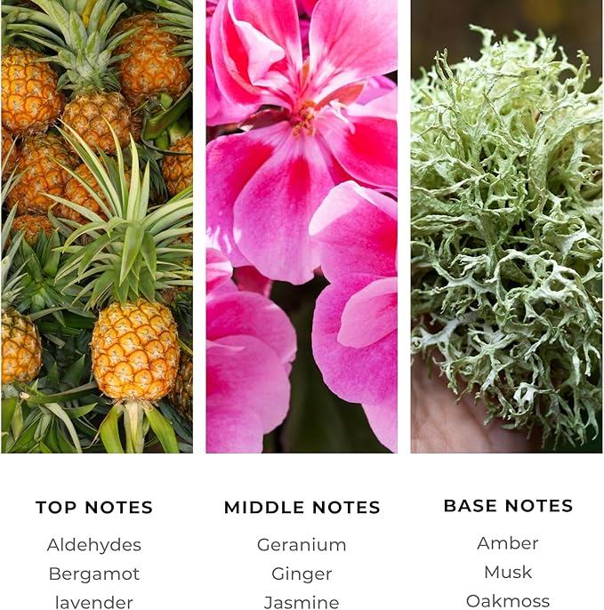 Brilliant Scents Diffuser Oil Refill, Inspired by Polo Sport Designer Collection Aroma Scents, Essential Oils Set for Home, Fragrance Oil for Candle Making, Hotel, 50ML, Opulent Seduction