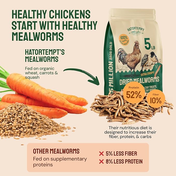 Hatortempt Dried Mealworms - 5 Lb, Non-GMO & Organic - High-Protein Mealworms for Wild Birds & Ducks, Chicken Treats & Bird Food
