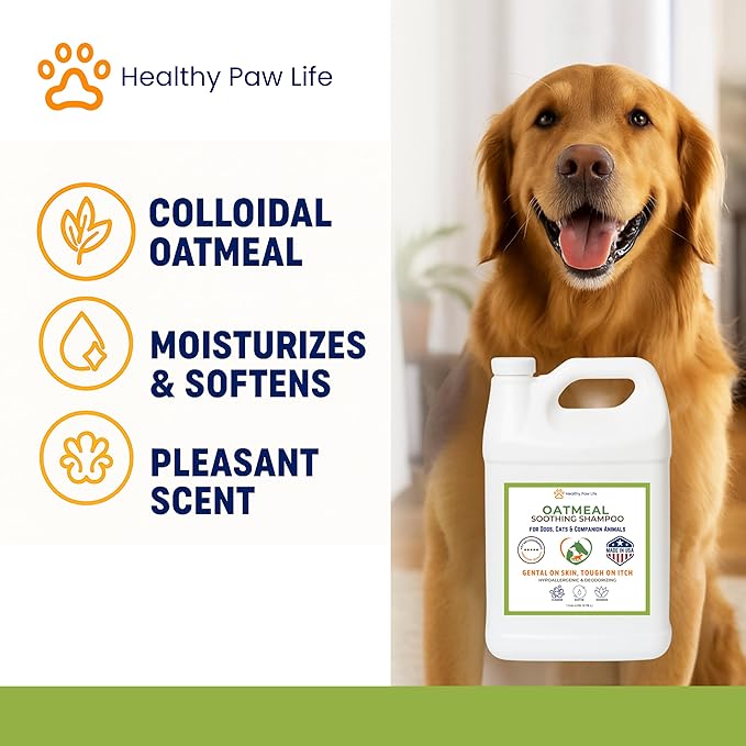Healthy Paw Life Oatmeal Shampoo – Vet-Recommended Itch Relief for Dogs, Cats & Horses – Hypoallergenic, Moisturizing & Deodorizing – 1 Gallon – Made in USA