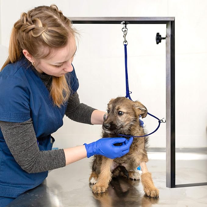 Jelly Pet Grooming Loop for Dogs | Groomers Helper | BioThane Material is Easy to Clean, Waterproof & Durable Noose Loop | Fits Most Pet Grooming Tubs/Tables/ 3/8” x 24” W/Ring Red | Made in The USA