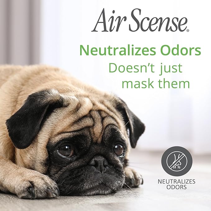 Air Scense Air Freshener Deodorizer Room Spray for Bathroom & Home, Essential Oils, Natural Orange - 7 fl oz (12 Pack)