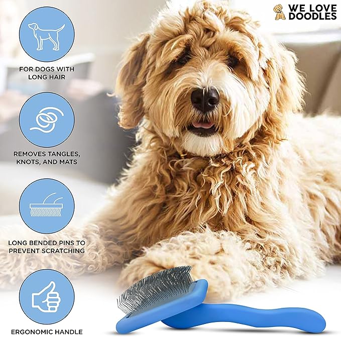 We Love Doodles Anti Itch Dog Shampoo & Slicker Brush - for Sensitive Skin, Dry Skin Treatment, Great for Allergies, Itching Skin, Hot Spots, Allergy Relief, for Grooming Pet Hair, Made in USA