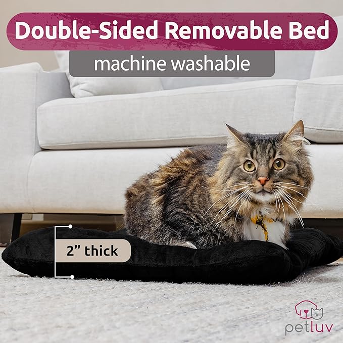 Soft-Sided Cat & Dog Pet Carrier, Large 24"x16"x16", Fits Large Cat, 2 Cats, or Medium Dog Comfortably, Great for Travel & Vet Visits, Privacy Windows, Removable Bed, Locking Zippers, Foldable