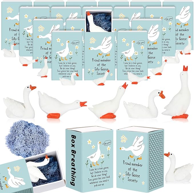 25 Set Employee Appreciation Gifts Bulk Coworkers Thank You Desk Pets Holiday Small Cute Emotional Support Resin Ornaments Card Box for Women Men Adults Office (Goose)