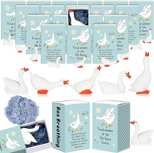 25 Set Employee Appreciation Gifts Bulk Coworkers Thank You Desk Pets Holiday Small Cute Emotional Support Resin Ornaments Card Box for Women Men Adults Office (Goose)