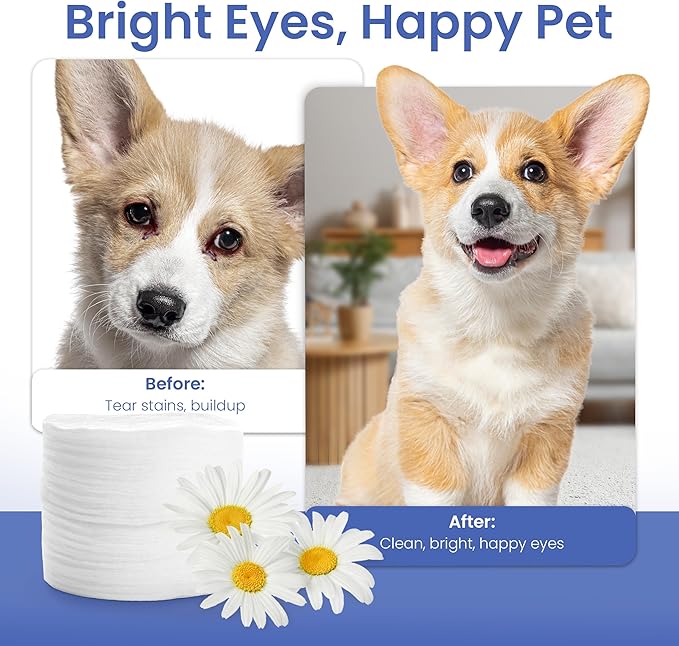 AKC Pet Eye Wipes for Dogs & Cats – Tear Stain Remover & Eye Discharge Cleaner – Hypoallergenic Grooming Wipes, 100 Count (Coconut Scent) AKC 3 * 3" PET Eye Wipes Coconut Scent 100 Count