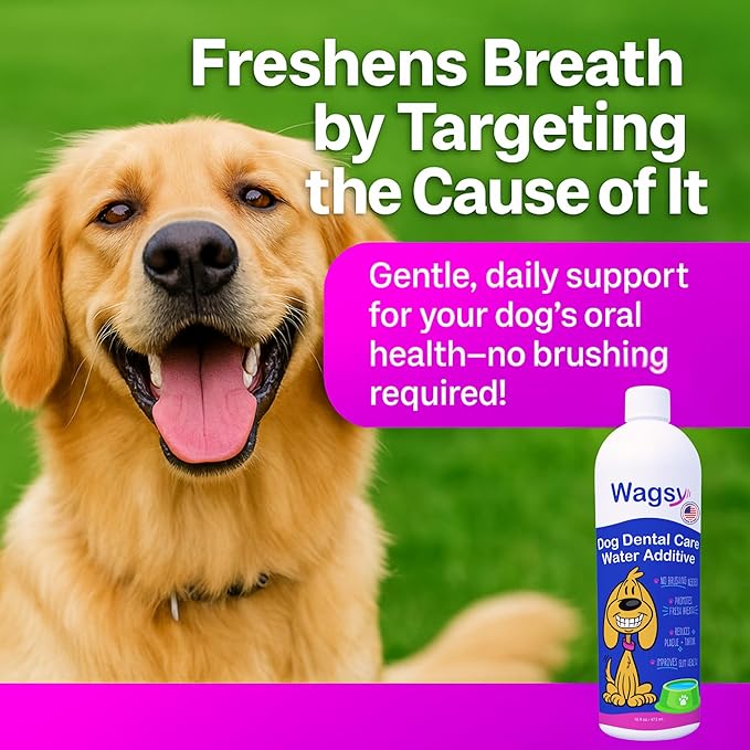 WAGSY Dog Breath Freshener & Dental Care Water Additive for Dogs Teeth - Made in USA, Naturally Derived Dog Mouthwash for Bad Breath, Plaque & Tartar Control, Whiter Teeth & Fresh Breath