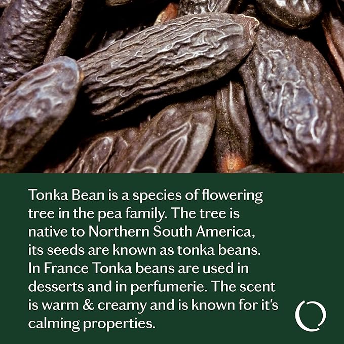 LIVEDROPS 24/7 Sleep Good Essential Oil Blend - Crafted in France - Lavender & Rose - Pure & Natural - Aromatherapy - Skin Safe & Diffuser Compatible - Clinically Tested