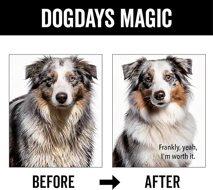 Pride and Groom DogDays Deshedding Dog Shampoo | Fast-Acting Coat Softener & Shedding Control | All-Natural Dog Wash with Essential Oils | Reduces Excess Fur & Dander for Curly & Wavy Coats – 16 oz