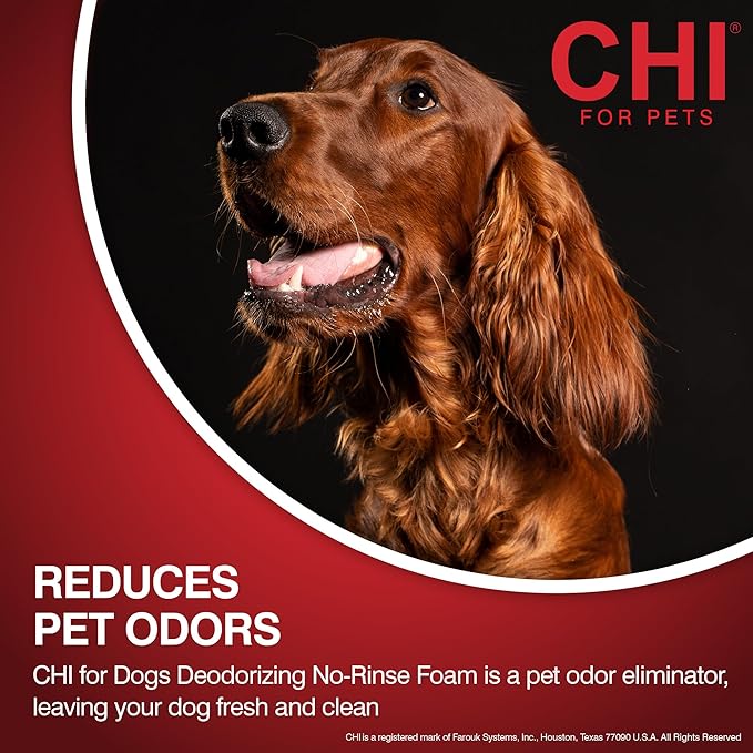 CHI for Dogs Deodorizing No-Rinse Foam - Dry Shampoo and Odor Eliminator for Dogs - Sulfate and Paraben Free - Made in USA - Waterless Pet Grooming Foam, Pump Bottle, 8 Fl Oz