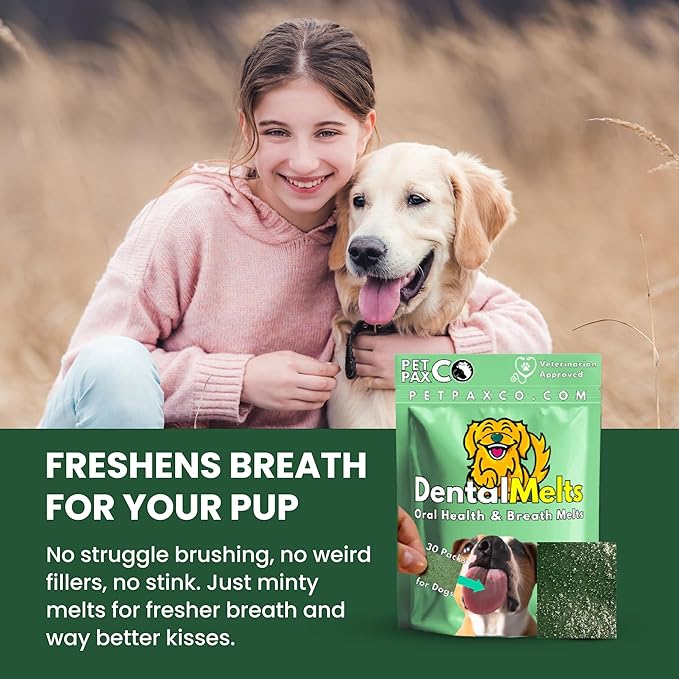 Dog Breath Freshener 5 in 1 – 30 Oral Strips – Natural Sage, Spirulina, Apple Cider Vinegar – Dogs Dental Care Products, Fresh Breath & Oral Hygiene Support – No Chew Dog Breath Mints