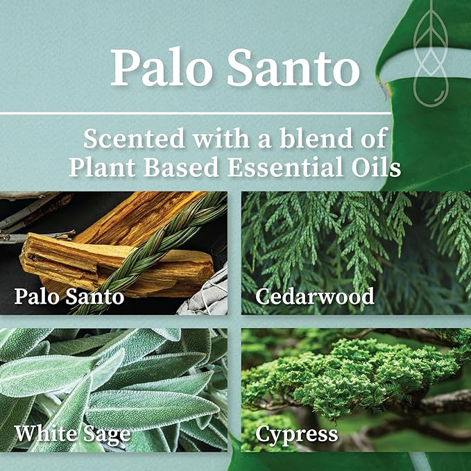 Hemlock Park Crackling Wood Wick Candle Handcrafted with Natural Coconut Wax (Large 16 oz, Palo Santo)