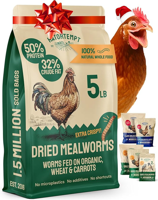 Hatortempt Dried Mealworms - 5 Lb, Non-GMO & Organic - High-Protein Mealworms for Wild Birds & Ducks, Chicken Treats & Bird Food