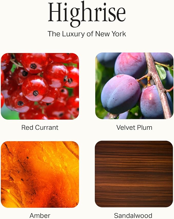 Preston Lane Signature Home Set – All Purpose Cleaner, Dish Soap, Hand Wash, Hand Cream & Scented Candle | Plant-Powered Cleaning & Care Essentials with Fine Italian Fragrance, Highrise