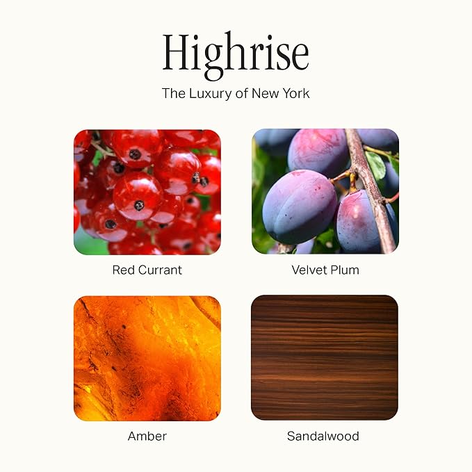 Preston Lane Luxury Dish Soap, Highrise Scent | Plant Powered Formula with Essential Oils | Tough on Grease, Gentle on Hands | Vegan, Cruelty Free, Clean Ingredients