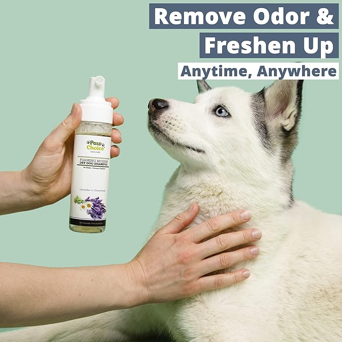 Paw Choice Dog Dry Shampoo - Hypoallergenic Waterless No Rinse Foam - Natural Coconut-Derived Cleanser - Quickly Deodorizes, Cleans & Conditions Between Baths - Made in USA - Lavender Chamomile