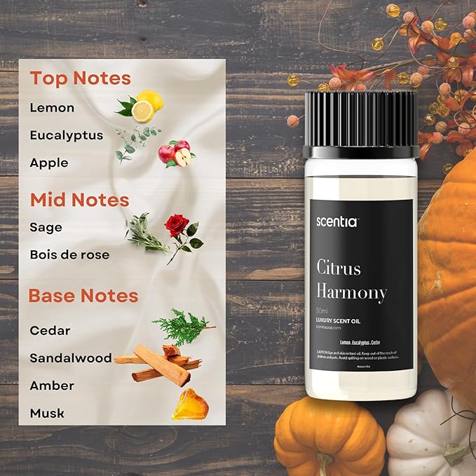 Scentia Citrus Harmony Essential Oil Blend – 50ml Bright Aromatherapy Oil with Lemon, Eucalyptus & Musk | Compact Diffuser Oil for Home, Travel, Gifting & DIY Candles