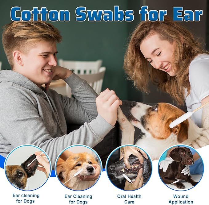 100PCS Long Cotton Dog Ear Swabs Double Sided Dog Ear Swabs 6 Inch Long Cotton Swab Large Double Sided Qtips Gentle Lint-Free Clean Wood Buds for Pet Dogs Ears Cleaning Wax Removal