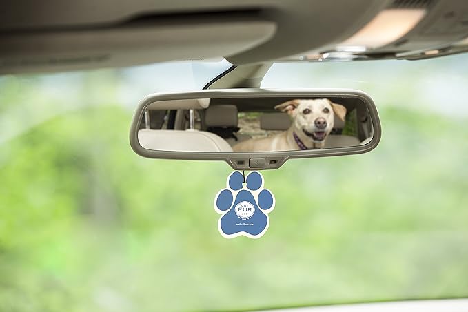 Pet House Car Air Freshener by One Fur All, Pack of 4 – Lilac Garden - Non-Toxic Auto Air Freshener, Pet Odor Eliminating Air Freshener for Car, Ideal for Small Spaces, Dye Free Dog Car Air Freshener