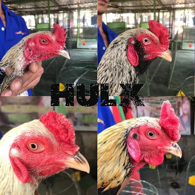 HULX Power Plus 100 Tablets, Fast Increasing Energy Formula Rooster Booster Vitamins Health Chicken Supplement for Good Health, Build Muscle, Blood, Power Feed Poultry Bird Hen Food