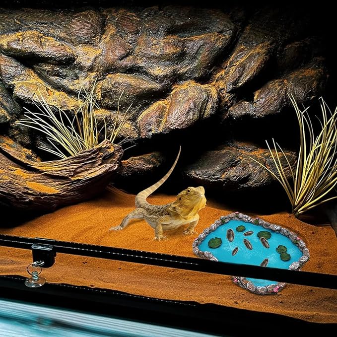 2PCS Reptile Feeding Dish Bearded Dragon Food Bowl Reptile Water Bowl for Gecko, Tortoise, Snake, Hermit Crab,Frog, Lizard (Large＋Medium)