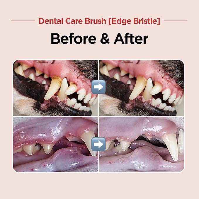 JAYU PET Dental Care Brush (Edge Bristles) 3ea - Micro Round Head Dog Toothbrush, Cat Toothbrush, Dental Care, Perfect for Kitten & Small Breed with End-tuft Diagonal-Shaped Bristle & Easy Grip Handle
