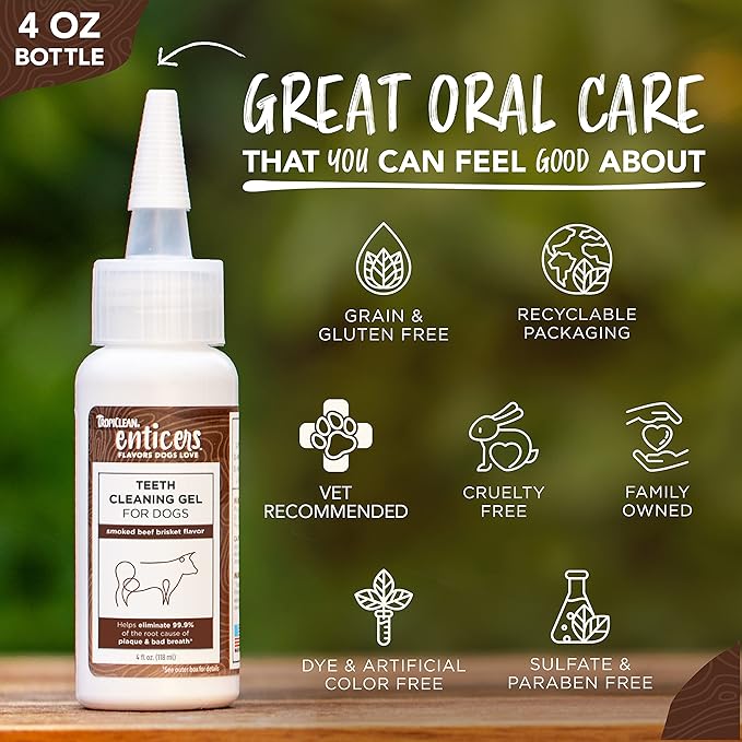 TropiClean Enticers Dog Teeth Cleaning Treat Gel | Smoked Beef Flavored Dog Toothpaste Alternative | 4 oz.