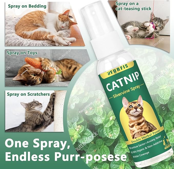 Organic Catnip & Silvervine Spray for Cats - 100% Natural Double Plant Power to Boost Play, Calm Stress & Renew Toys, Scratchers for Indoor Kittens (2 Fl Oz)