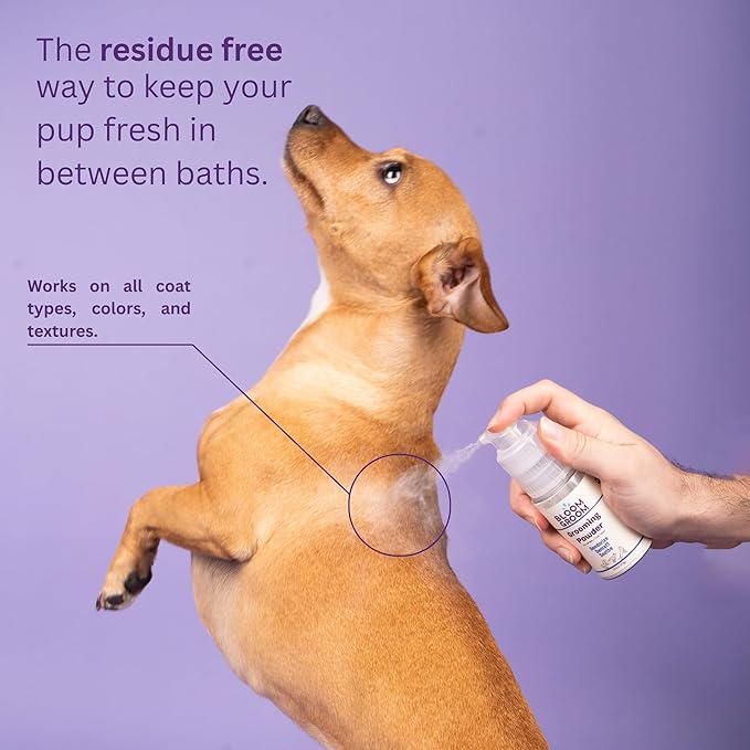 Grooming Powder – Waterless Dry Shampoo for Dogs | Deodorizing & Anti-Itch Coat Refresher | Talc-Free, Non-Toxic, Made in USA Dog Deodorizer with Colloidal Oatmeal & Aloe – 1.52 oz