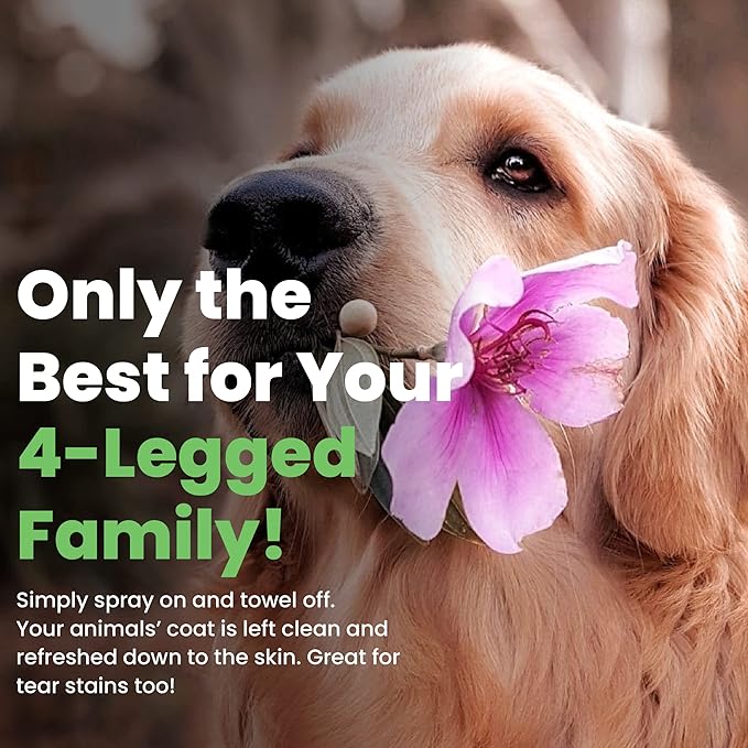 Best Shot One Shot Dry Clean Spray, Alcohol-Free Formula, Waterless Shampoo Spray for Pets, Safe for Dogs, Cats, and Horses, 16 Oz.