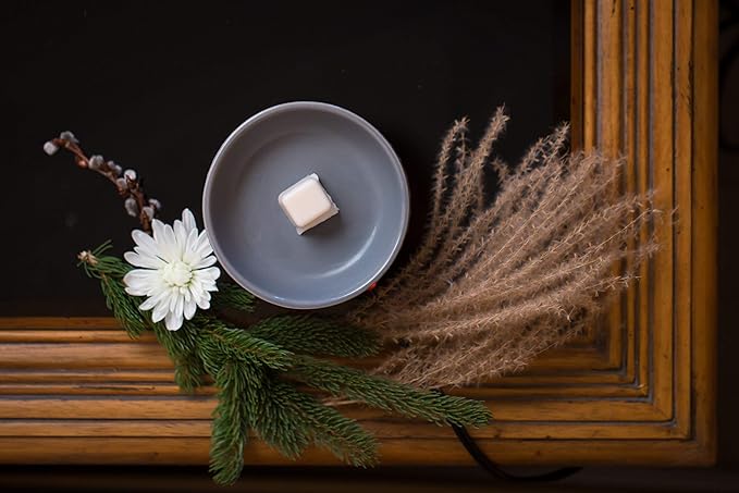 Aira Soy Wax Melt - Organic, Vegan, Kosher, Scented Soy Wax Cubes w/Essential Oil Blends - No Chemical 100% Soy Tart for Electric/Tealight Melters - Hand-Poured Soy Tarts - Fresh Spearmint - 2 Pack