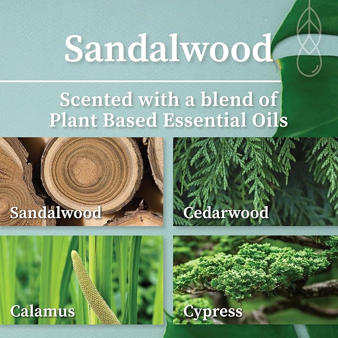 Hemlock Park Crackling Wood Wick Candle Handcrafted with Natural Coconut Wax (Standard 8 oz, Sandalwood)