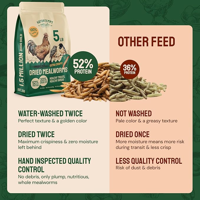 Hatortempt Dried Mealworms - 5 Lb, Non-GMO & Organic - High-Protein Mealworms for Wild Birds & Ducks, Chicken Treats & Bird Food