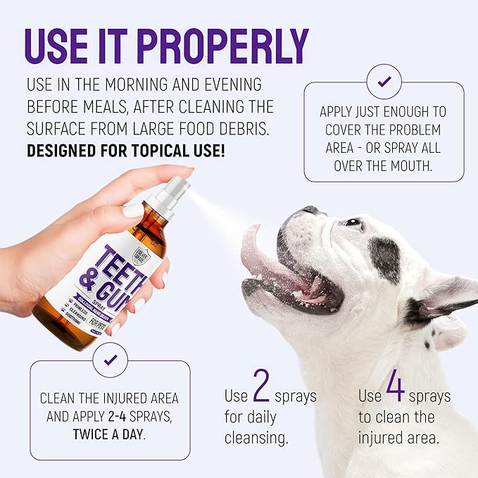 SILVER GRADE Teeth & Gum Dog Breath Spray for Pets Mouth – Cat Dental Care with Silver – Dog Breath Freshener Helps with Tartar & Caries – Plaque Remover for Daily Use – 4 Oz
