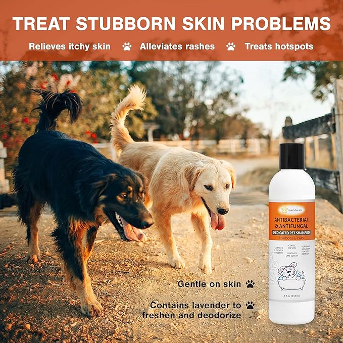 Healthy Paw Life Bundle - 2 Items: Classic's Lime Sulfur Cream (2 oz) and Classic's Lime Sulfur Shampoo (8 oz)