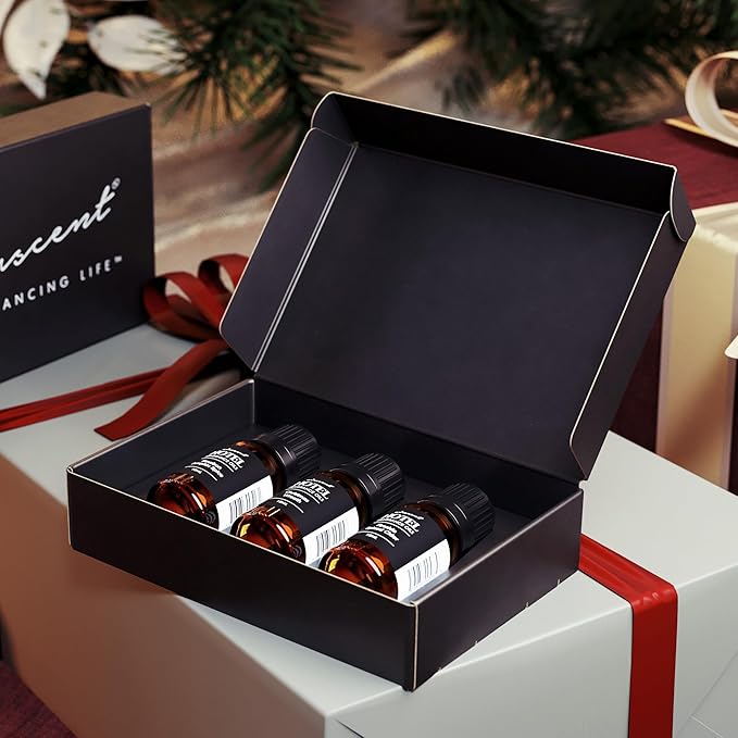 AirScent Holiday Scents Christmas Diffuser Oil 3 Pack Gift Set - 10 mL, 0.34 fl oz Fragrance Oil Set - Bourbon Pumpkin Spice, Christmas Wreath and Fireside Spiced Cider Scents