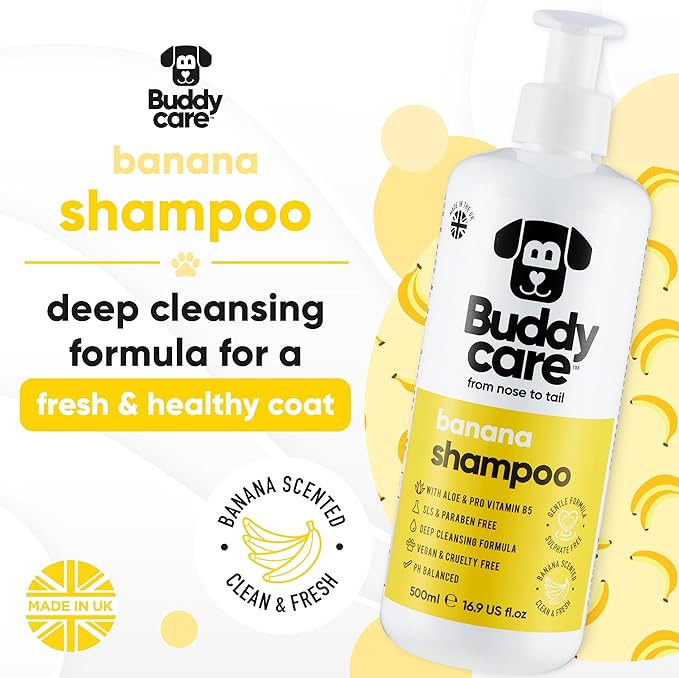 Banana Dog Shampoo by Buddycare | Deep Cleansing Shampoo for Dogs | Banana Scented | with Aloe Vera and Pro Vitamin B5 (16.9oz)