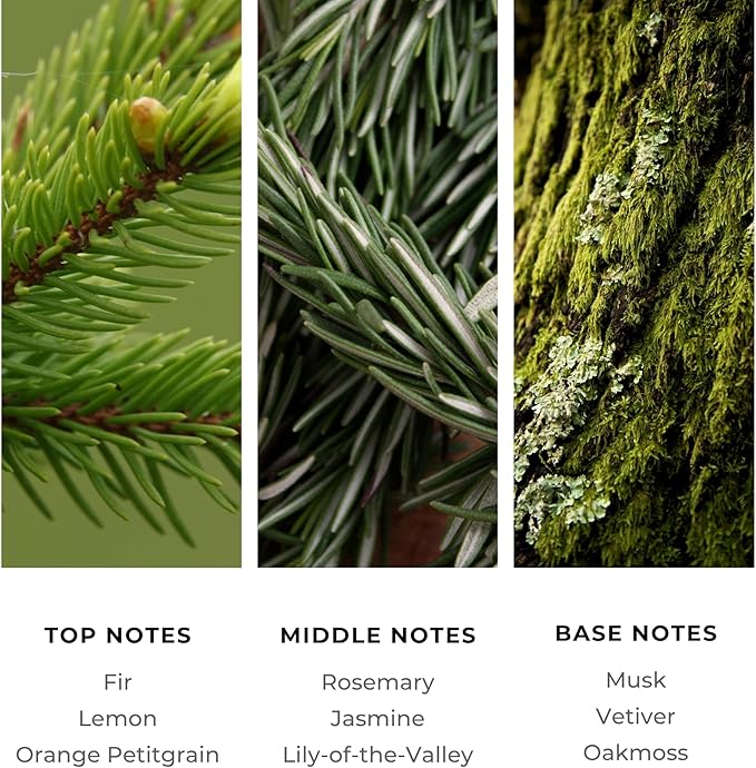 Brilliant Scents Diffuser Oil Refill, Essential Oils Set for Home, Fragrance Oil for Candle Making, Hotel, 50ML, Temptation