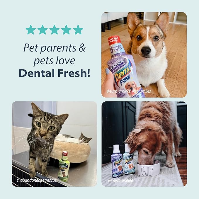 Dental Fresh Water Additive for Dogs, Original Formula, 8oz – Cat & Dog Breath Freshener and Teeth Cleaning for Dental Care for Pets – Add to Water