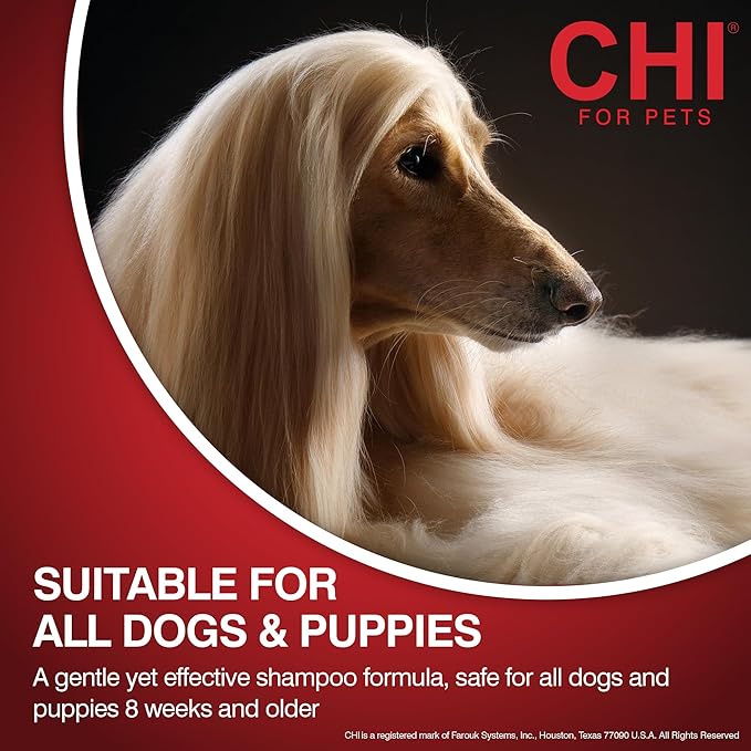 CHI for Dogs Oatmeal Conditioner - Best Moisturizing Formula for Dry Skin - Dog Conditioner with Soothing Ingredients - Paraben and Sulfate Free - pH Balanced - Made in USA, 6 Fl Oz
